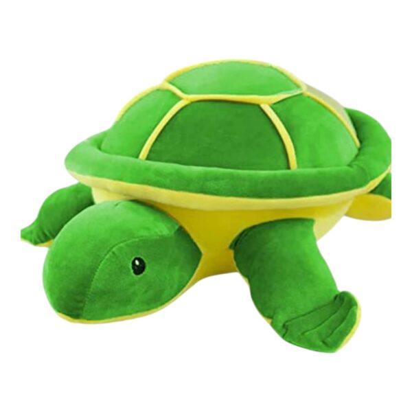 Tortoise Medium Soft Toy for Kids